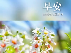 2026年5月7日 早安·初夏的風(fēng)，送來(lái)浪漫的花語(yǔ)
