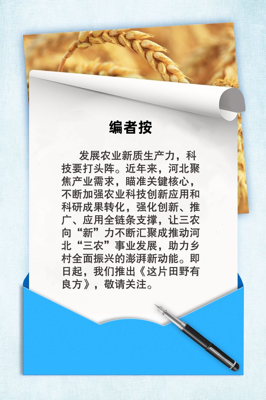 開欄語